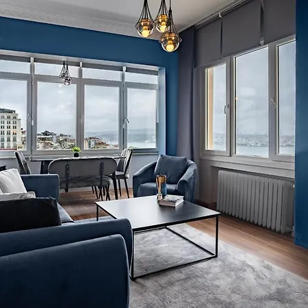 Elegant 2br Haven With Magnificent Bosphorus View 公寓 伊斯坦布尔